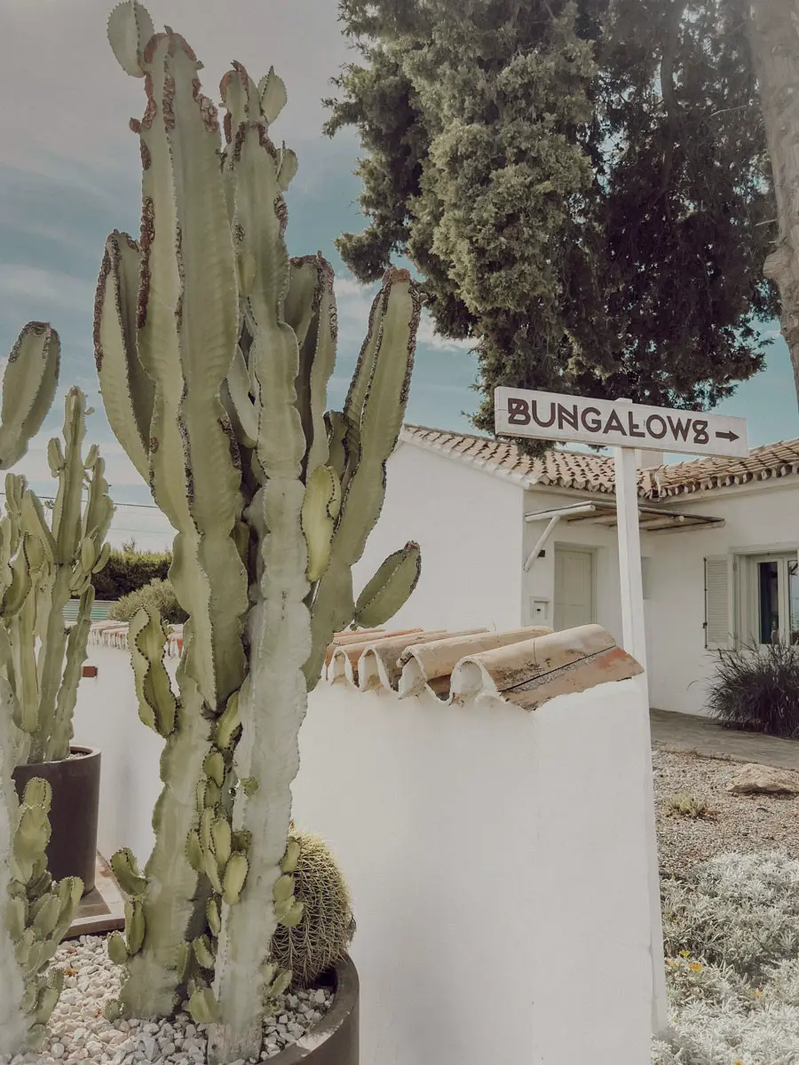 cocotravel travelbirds marbella 8