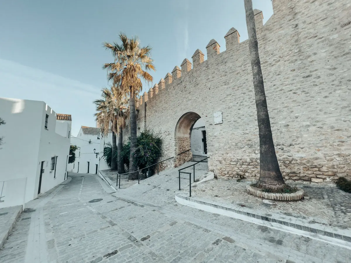 cocotravel travelbirds vejer 16