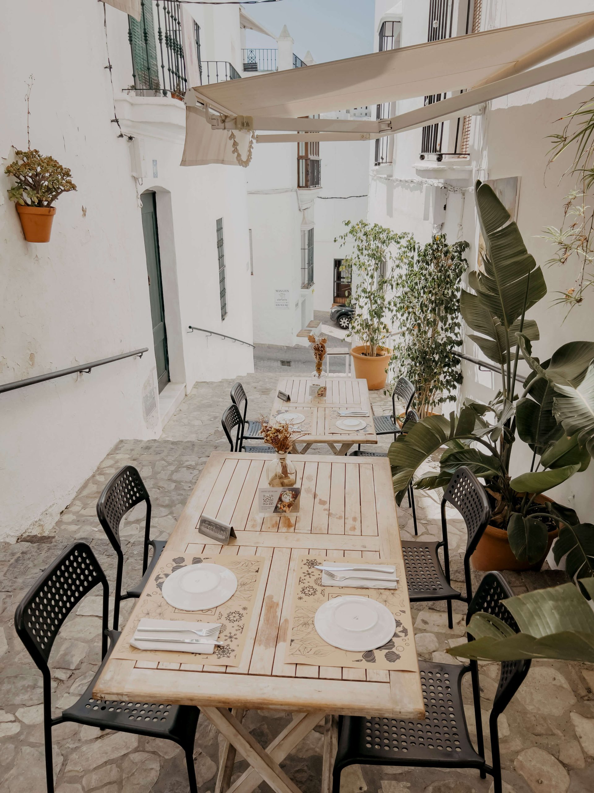 cocotravel travelbirds vejer 27 scaled