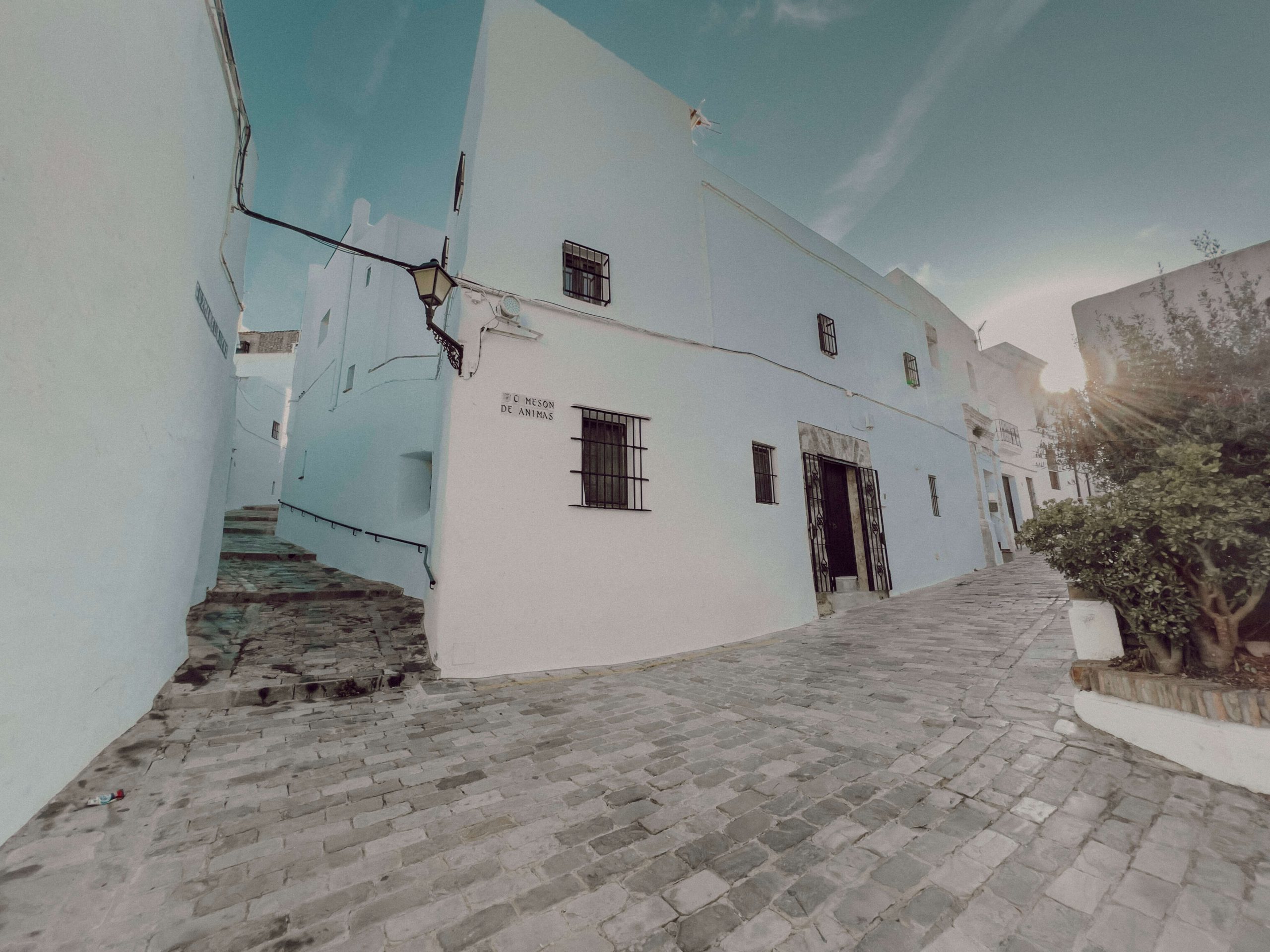 cocotravel travelbirds vejer 39 scaled