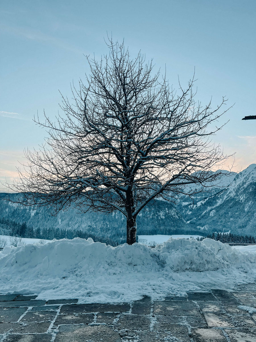 Winterstellgut BlaueStunde min Winterstellgut BlaueStunde min