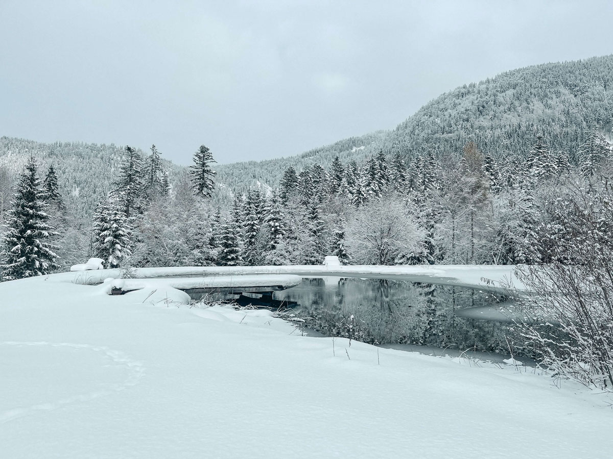 Winterstellgut Teich Winterstellgut Teich