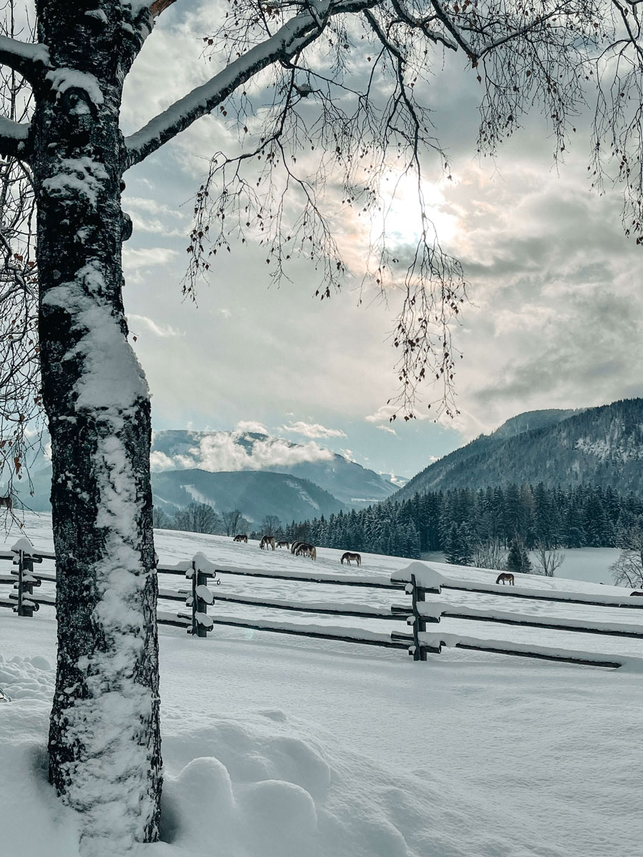Winterstellgut aussen min Winterstellgut aussen min