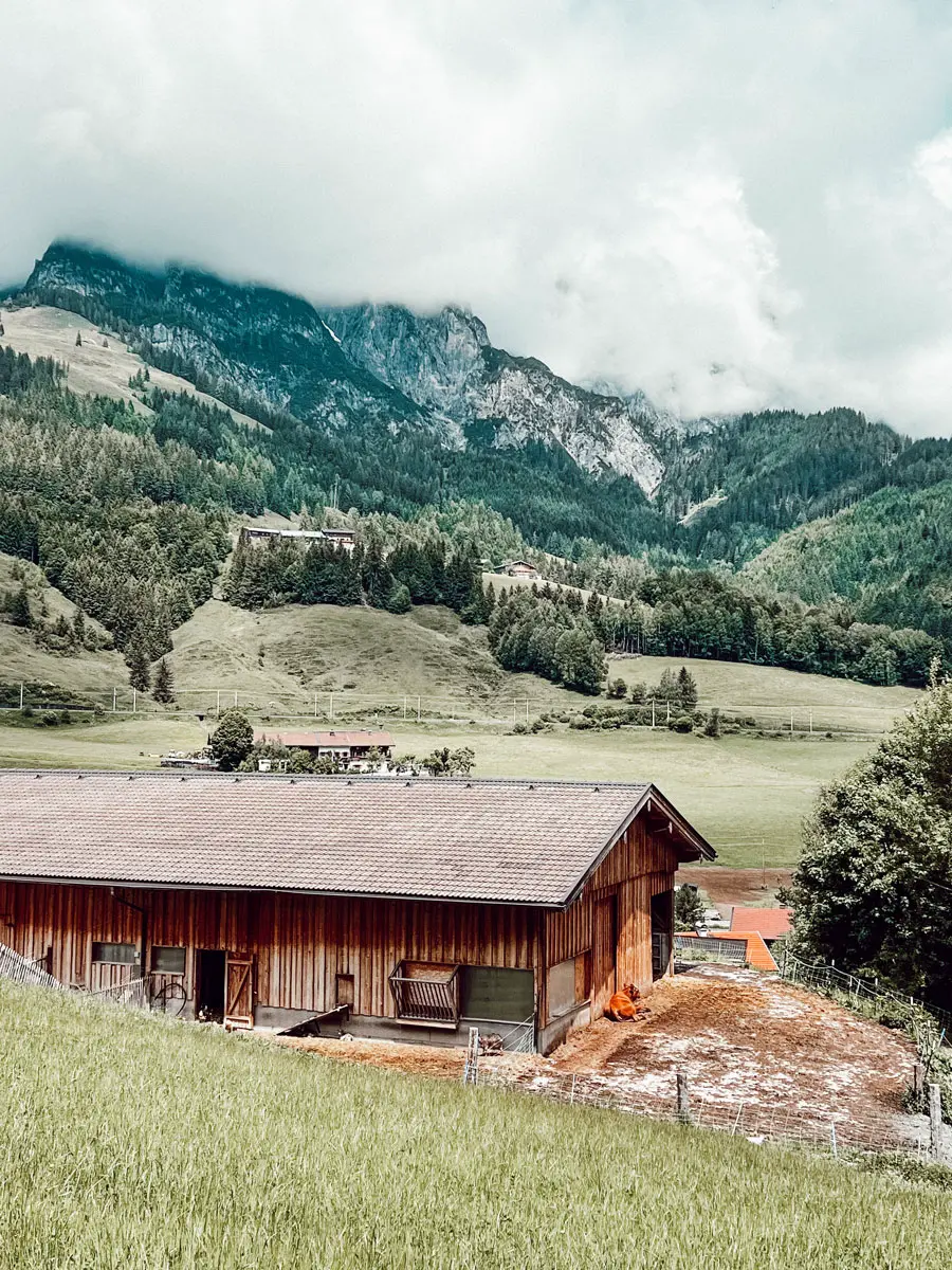COCOtravel Leogang Puradies BioBauernhof2