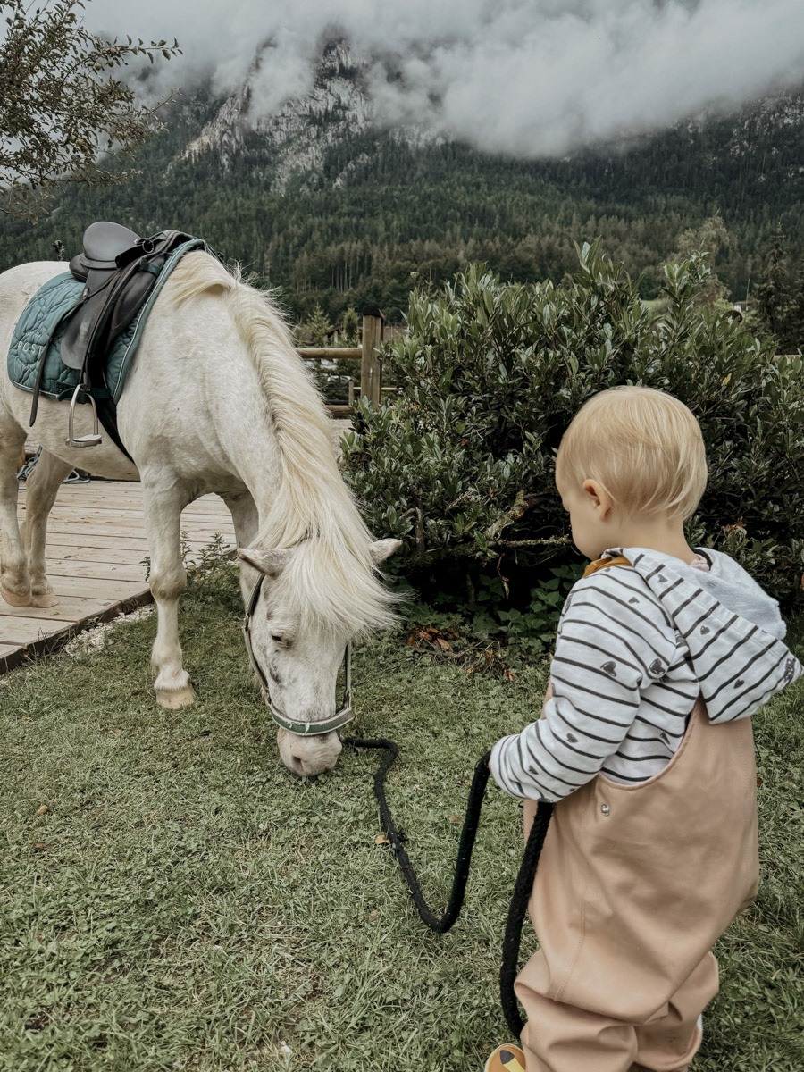COCOtravel PostFamilyResort Ponyreiten
