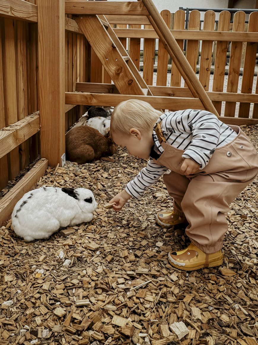 COCOtravel PostFamilyResort Streichelzoo 5 e1727102572304