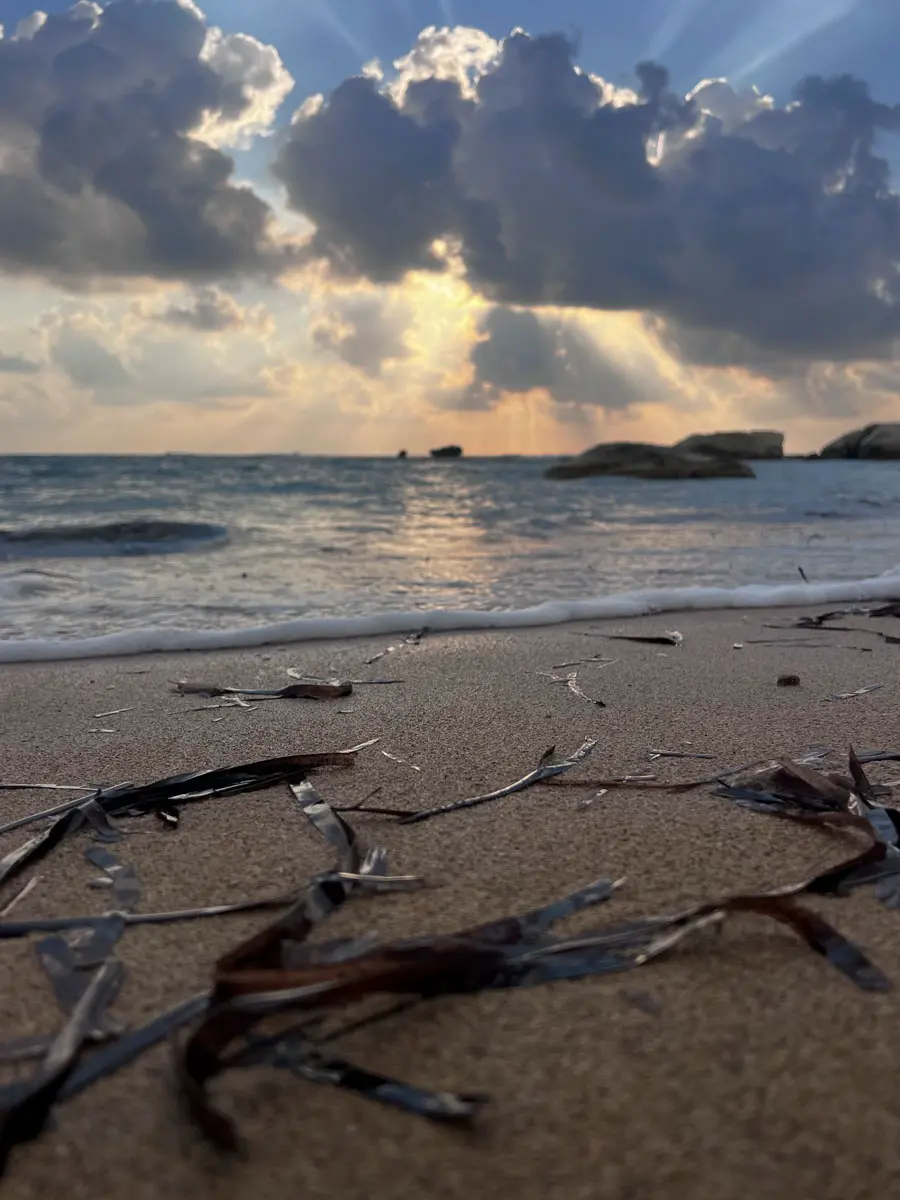 COCOtravel Zypern CapStGeorges Beach 21 COCOtravel Zypern CapStGeorges Beach 21