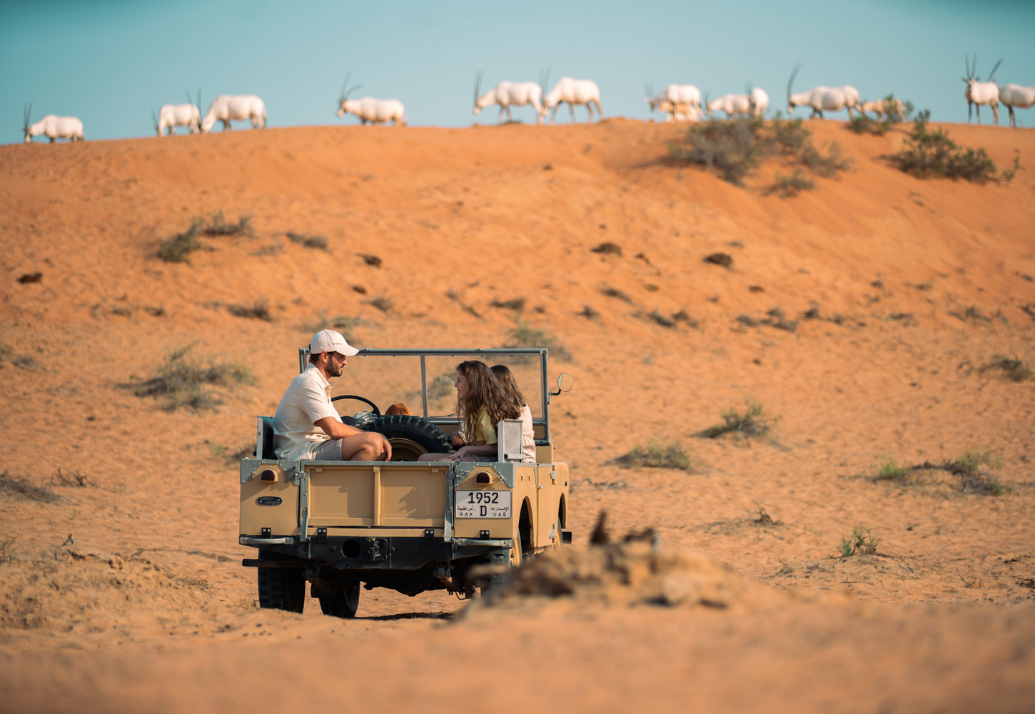 Ritz Carlton Al Wadi Desert 3