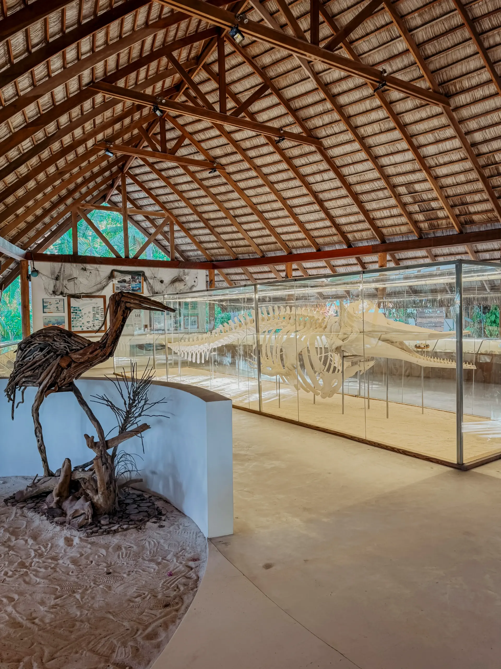COCOtravel Malediven Kuramathi Natur scaled COCOtravel Malediven Kuramathi Natur scaled