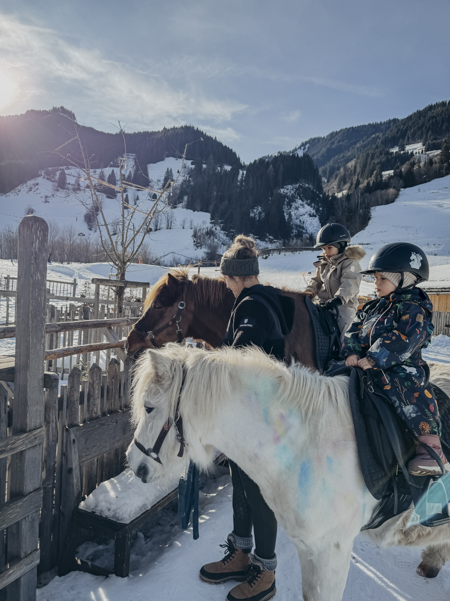 COCOtravel 202501 Moargut Ponyreiten 8 COCOtravel 202501 Moargut Ponyreiten 8