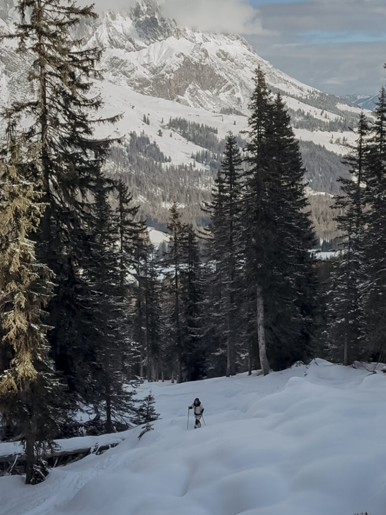 COCOtravel Birgkar Skitour COCOtravel Birgkar Skitour