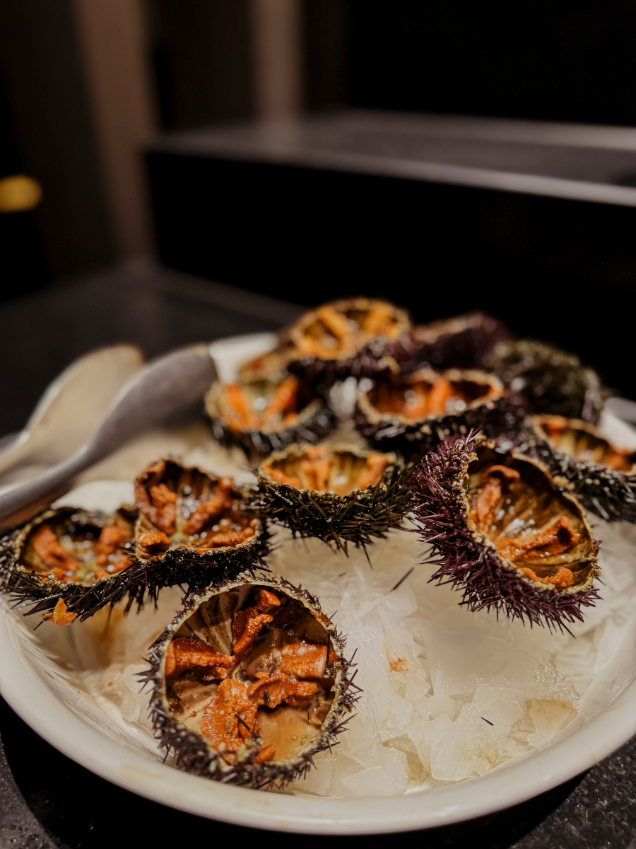 COCOtravel Sizilien Adler Abendessen 7