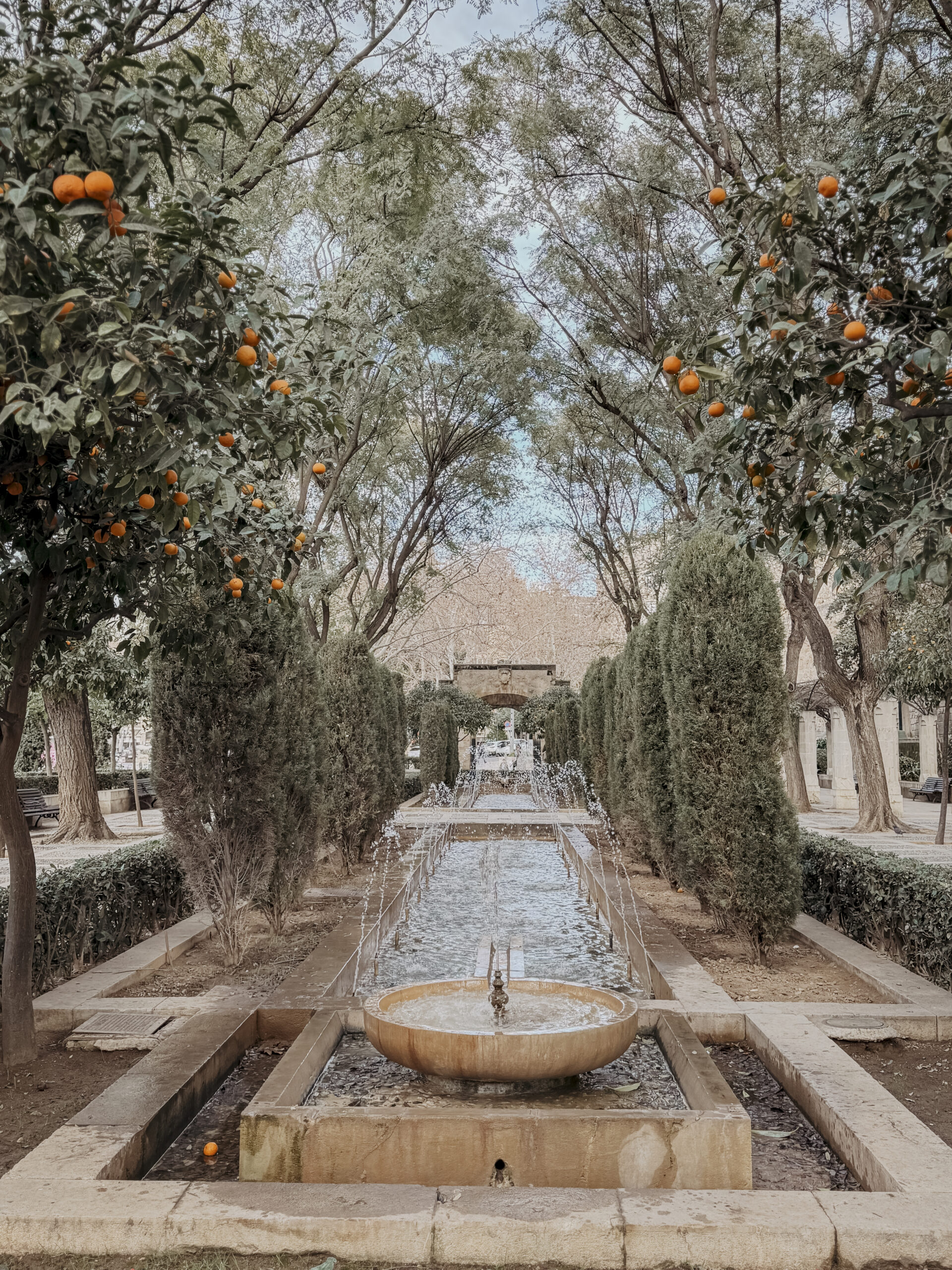 COCOtravel Mallorca VillaRiviera Palma  8 scaled