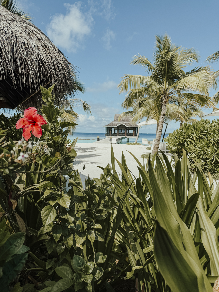 COCOtravel Malediven Nova  60