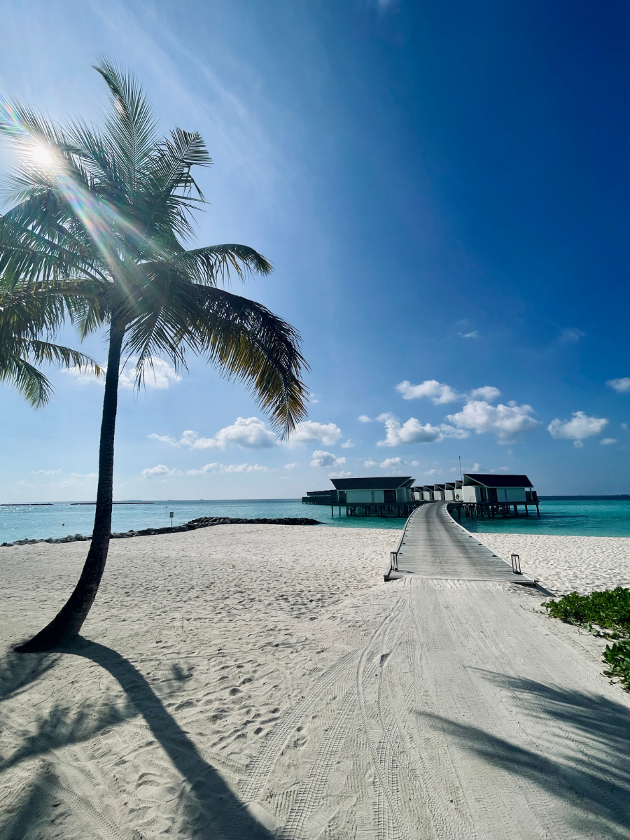 COCOtravel Malediven Raayabyatmosphere PalmeundSteg