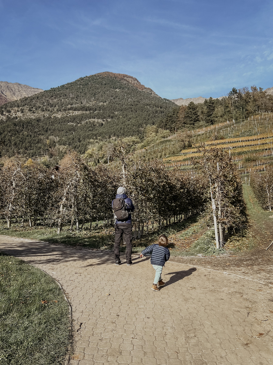 COCOtravel Suedtirol DasParadies AusflugGoldrain 5 COCOtravel Suedtirol DasParadies AusflugGoldrain 5