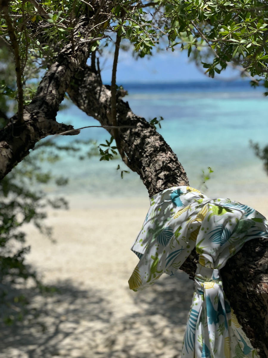 COCOtravel Malediven ObluNature BaumMeerStrand COCOtravel Malediven ObluNature BaumMeerStrand