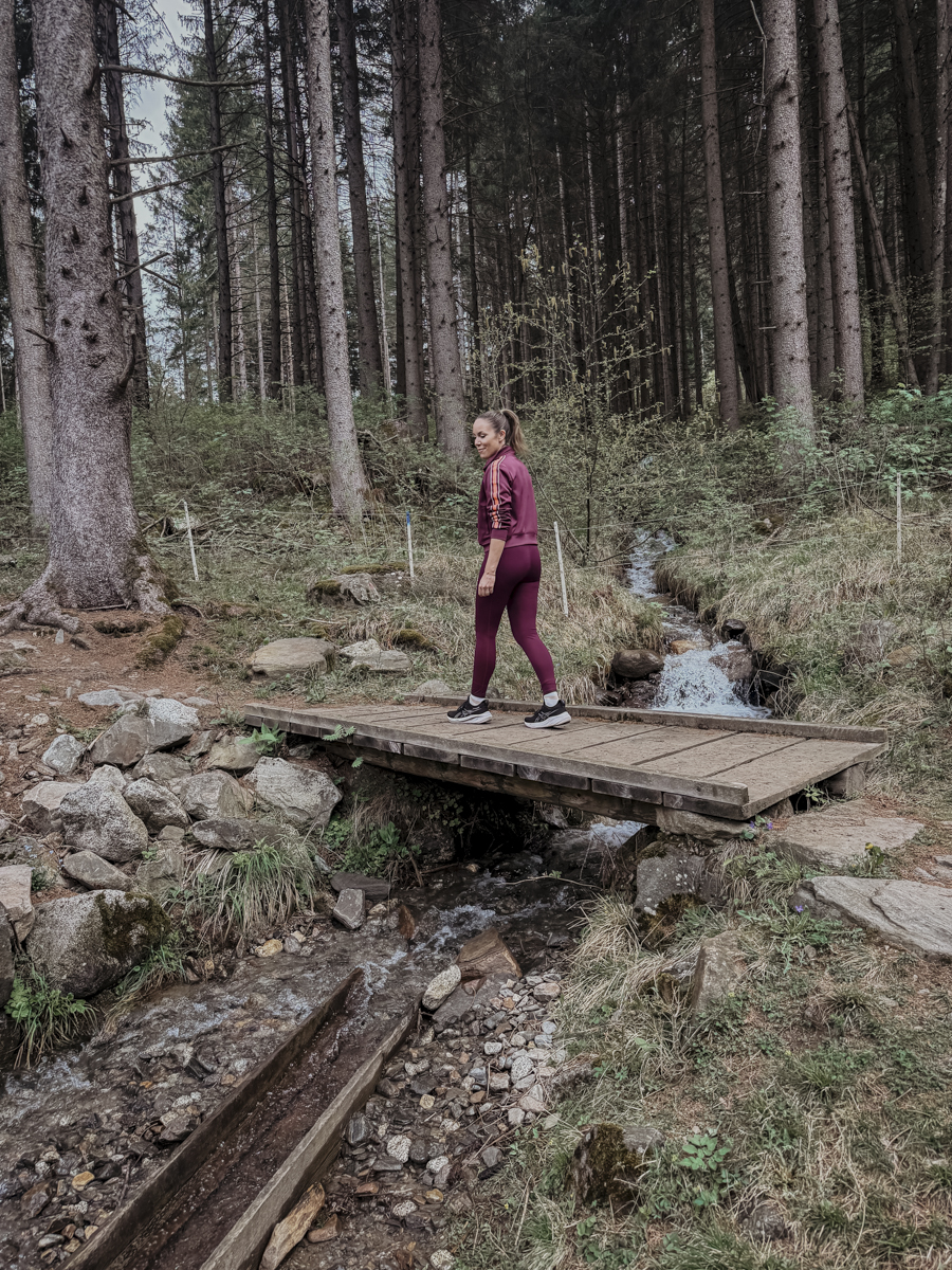 COCOtravel Suedtirol OLM Wanderung 3 COCOtravel Suedtirol OLM Wanderung 3