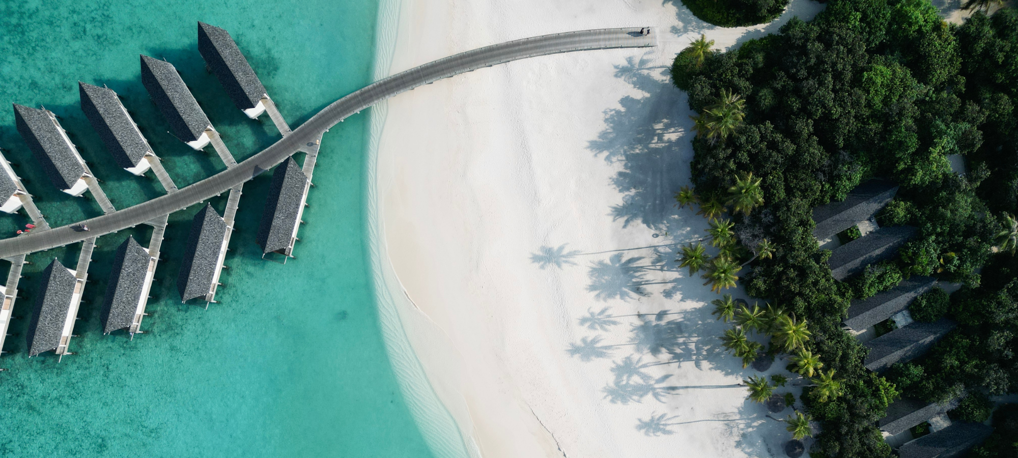 COCOtravel FAQ Header