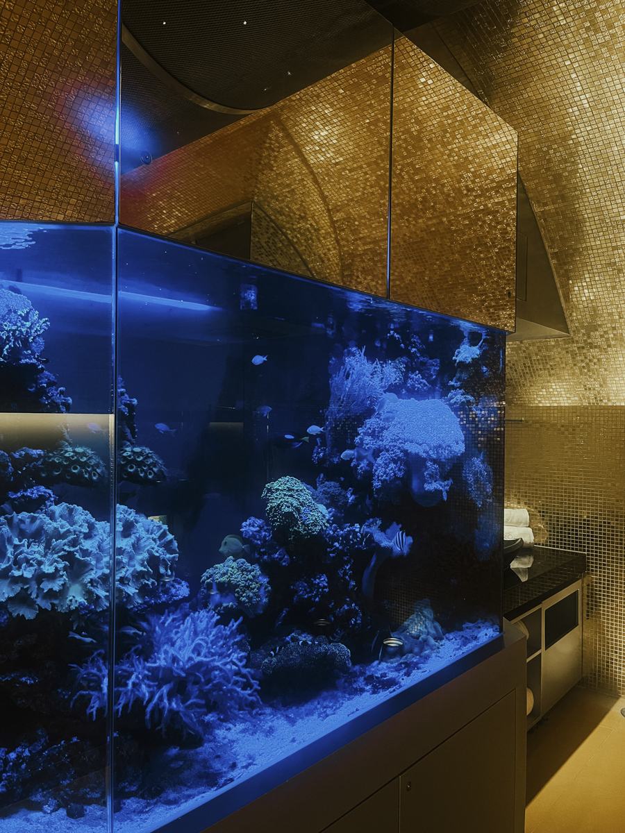 CocoTravel das Tyrol Spa3 1 CocoTravel das Tyrol Spa3 1