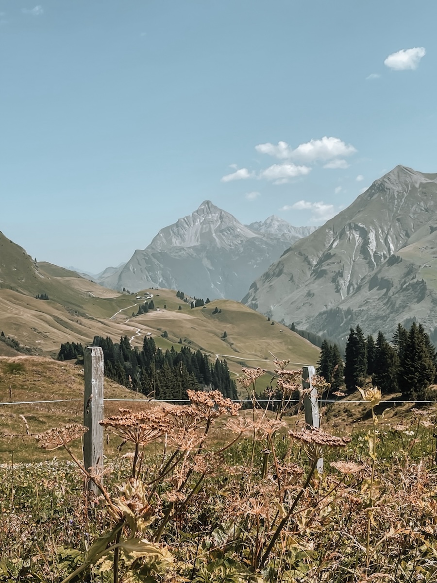 COCOtravel LechArlberg GoldenerBerg umgebung3 COCOtravel LechArlberg GoldenerBerg umgebung3