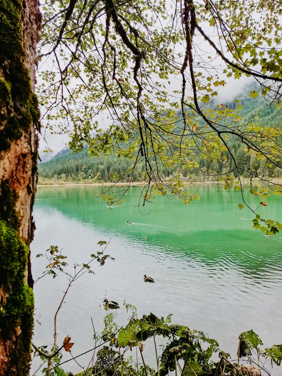 Prechtlgut Prechtlgut