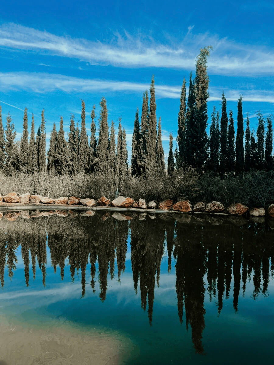 COCOTravel SantAntoni BIBOPark See COCOTravel SantAntoni BIBOPark See