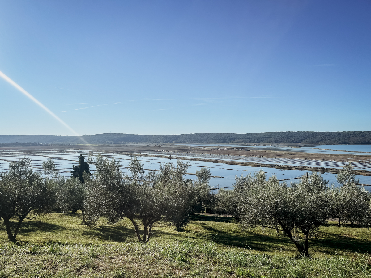 COCOtravel Slowenien Portoroz Kempinski Palace Meersalz Gewinnung COCOtravel Slowenien Portoroz Kempinski Palace Meersalz Gewinnung