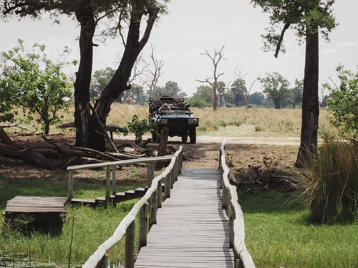 COCOtravel Botswana GreatPlains DubaExplorersCamp Safari GameDrive 1 COCOtravel Botswana GreatPlains DubaExplorersCamp Safari GameDrive 1