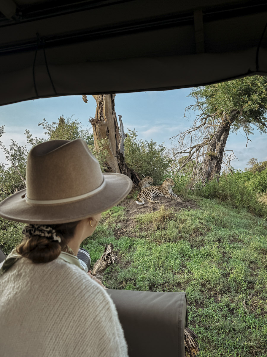 COCOtravel Botswana GreatPlains DubaExplorersCamp Safari GameDrive 135 COCOtravel Botswana GreatPlains DubaExplorersCamp Safari GameDrive 135