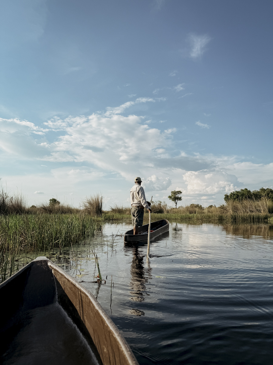 COCOtravel Botswana GreatPlains SitatungaPrivateIsland Safari 2 COCOtravel Botswana GreatPlains SitatungaPrivateIsland Safari 2