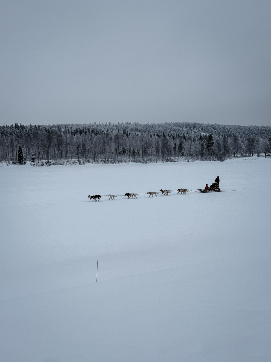 COCOtravel Lappland NovaGalaxyVillage Huskies 5 COCOtravel Lappland NovaGalaxyVillage Huskies 5