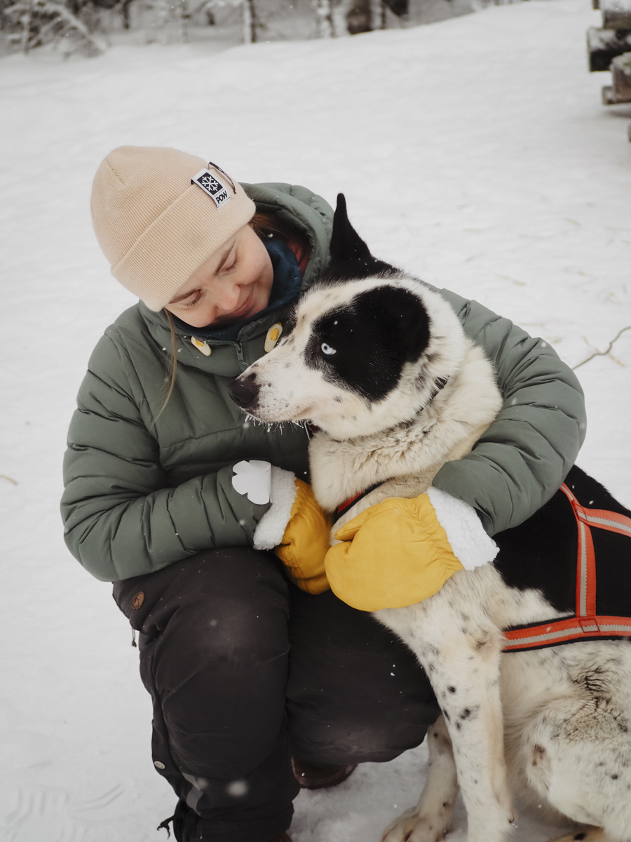 COCOtravel Lappland NovaGalaxyVillage Huskyfarm 1 COCOtravel Lappland NovaGalaxyVillage Huskyfarm 1