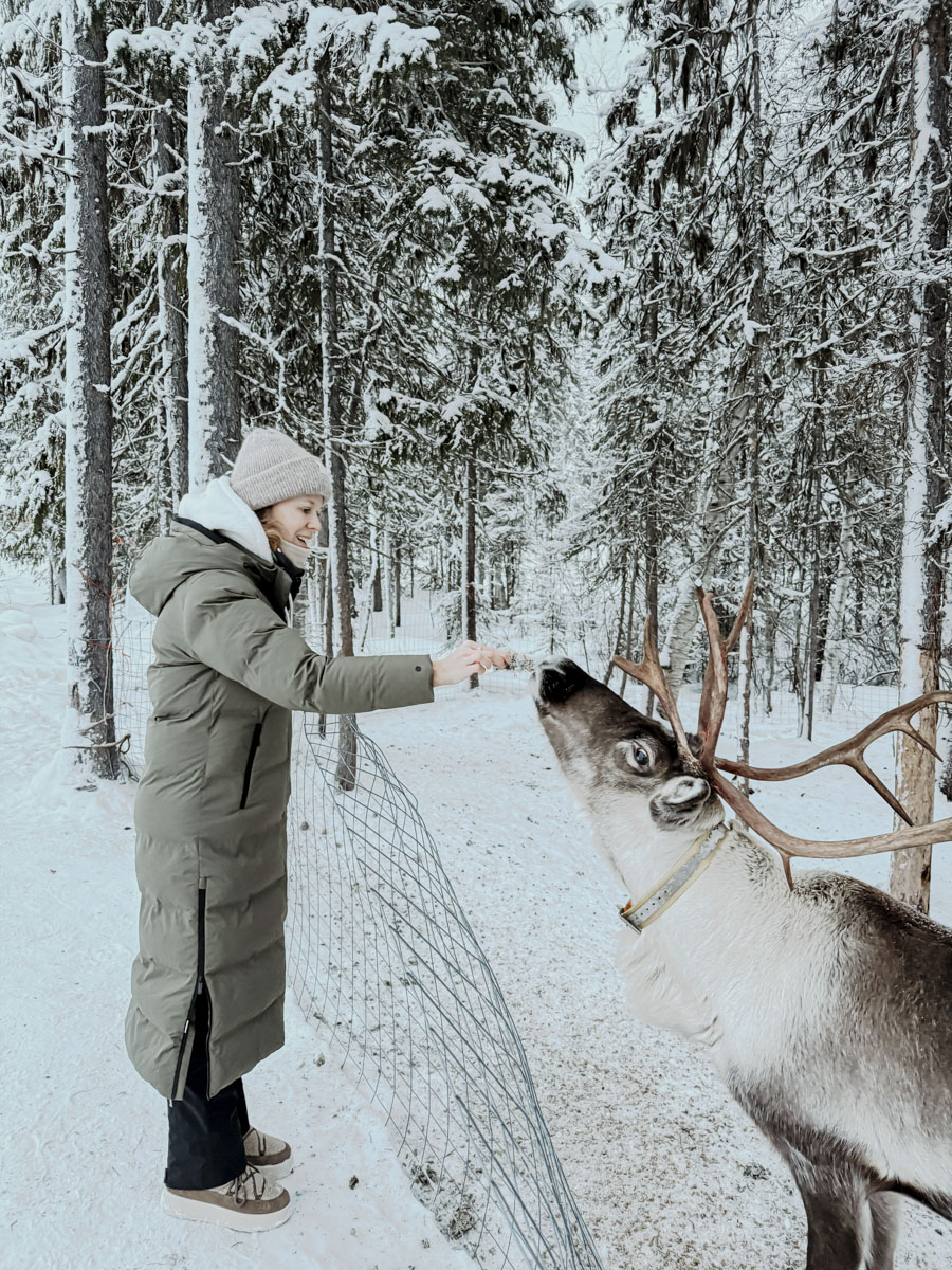 COCOtravel Lappland NovaGalaxyVillage Rentiere 8 COCOtravel Lappland NovaGalaxyVillage Rentiere 8
