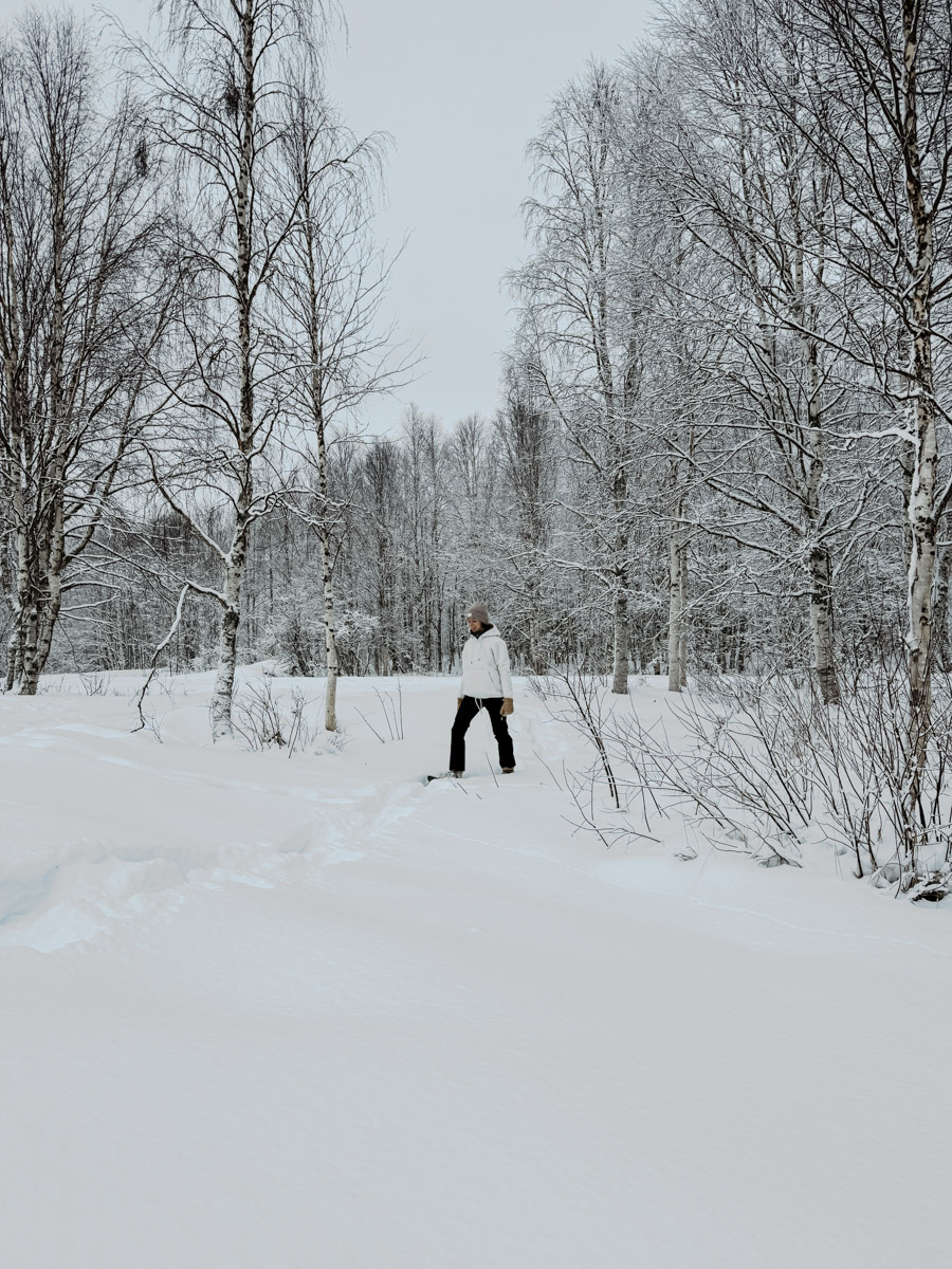 COCOtravel Lappland NovaGalaxyVillage Schneeschuhwanderung 2 COCOtravel Lappland NovaGalaxyVillage Schneeschuhwanderung 2