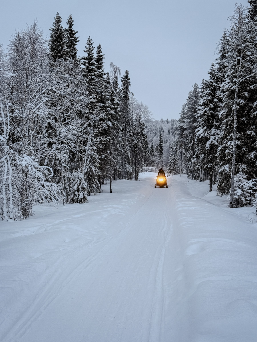 COCOtravel Lappland NovaGalaxyVillage Umgebung Winterwonderland 13 COCOtravel Lappland NovaGalaxyVillage Umgebung Winterwonderland 13