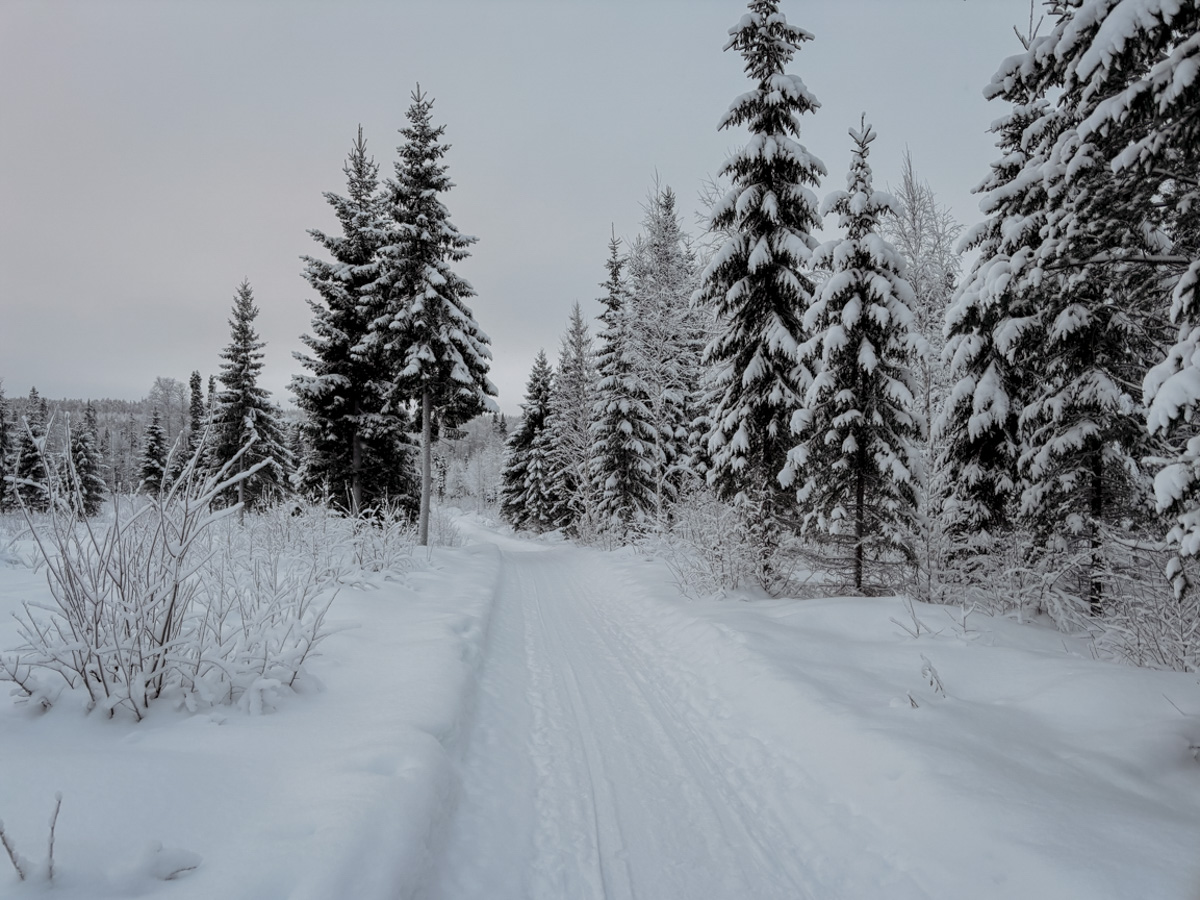 COCOtravel Lappland NovaSkylandHotel HuskyTour 32