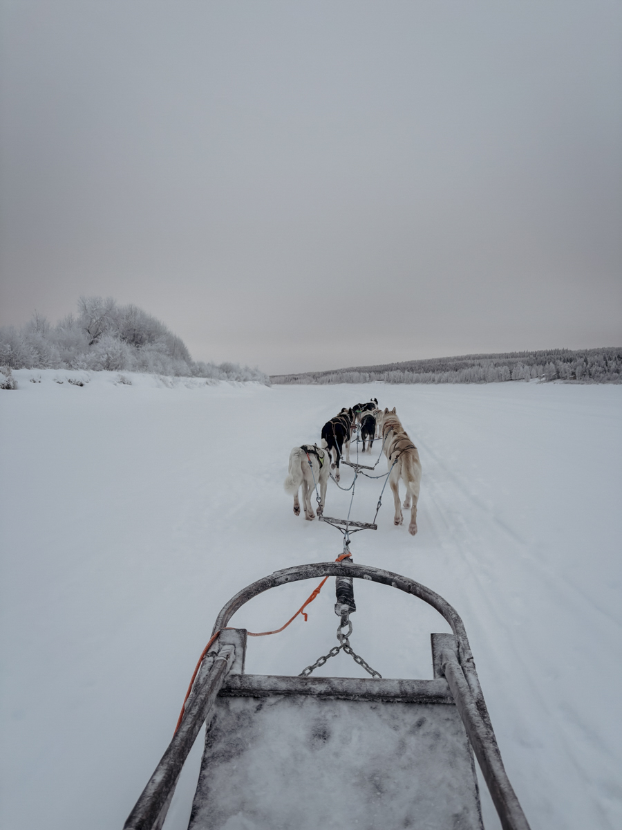 COCOtravel Lappland NovaSkylandHotel HuskyTour 6