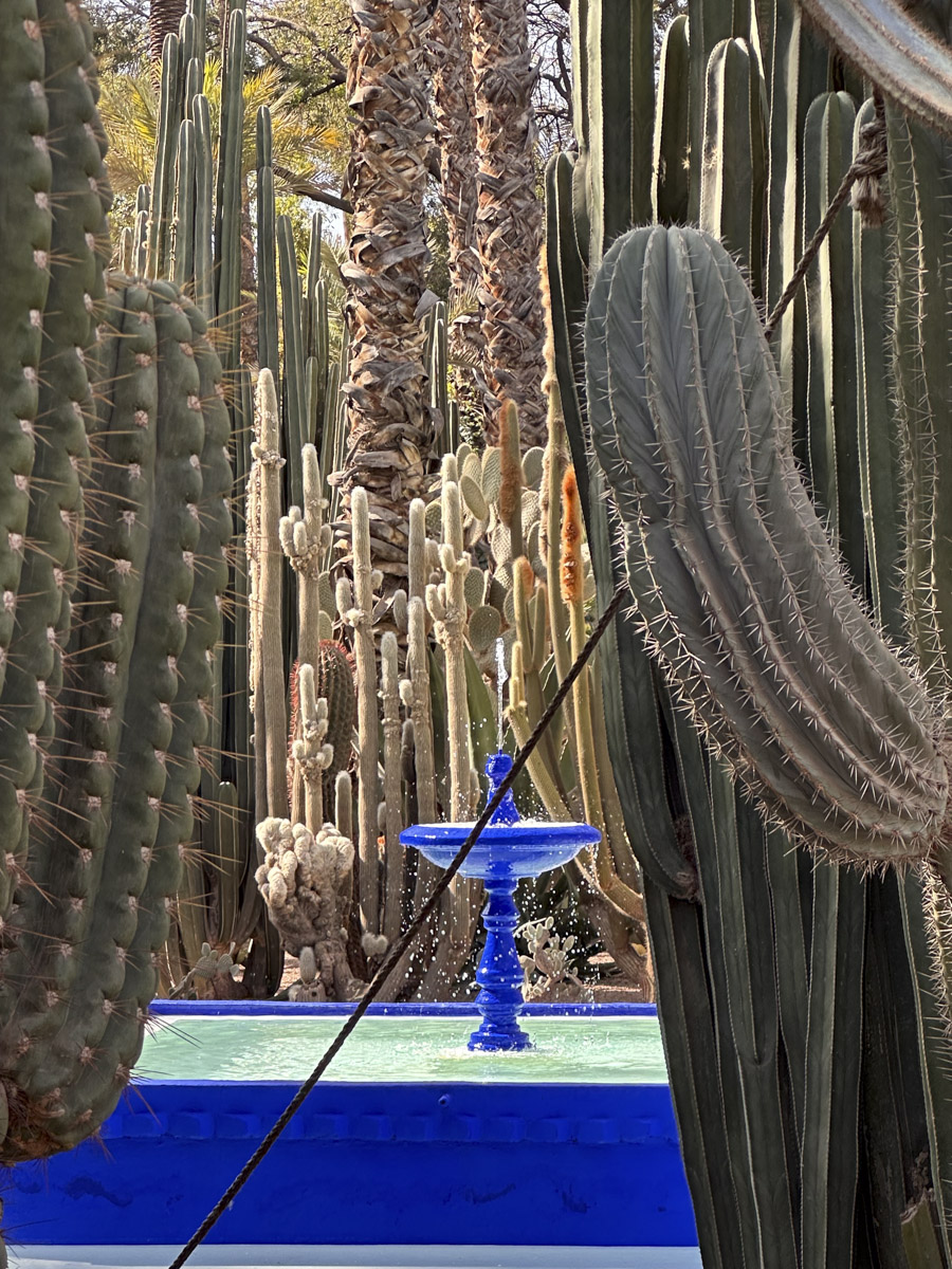 COCOtravel Marroko Marrakesch Jardin Majorelle 4