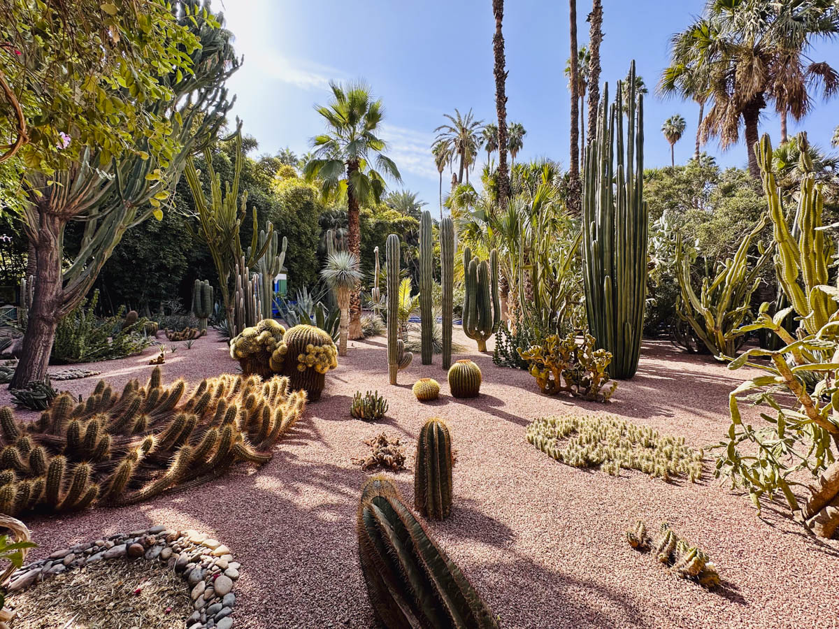COCOtravel Marroko Marrakesch Jardin Majorelle 5