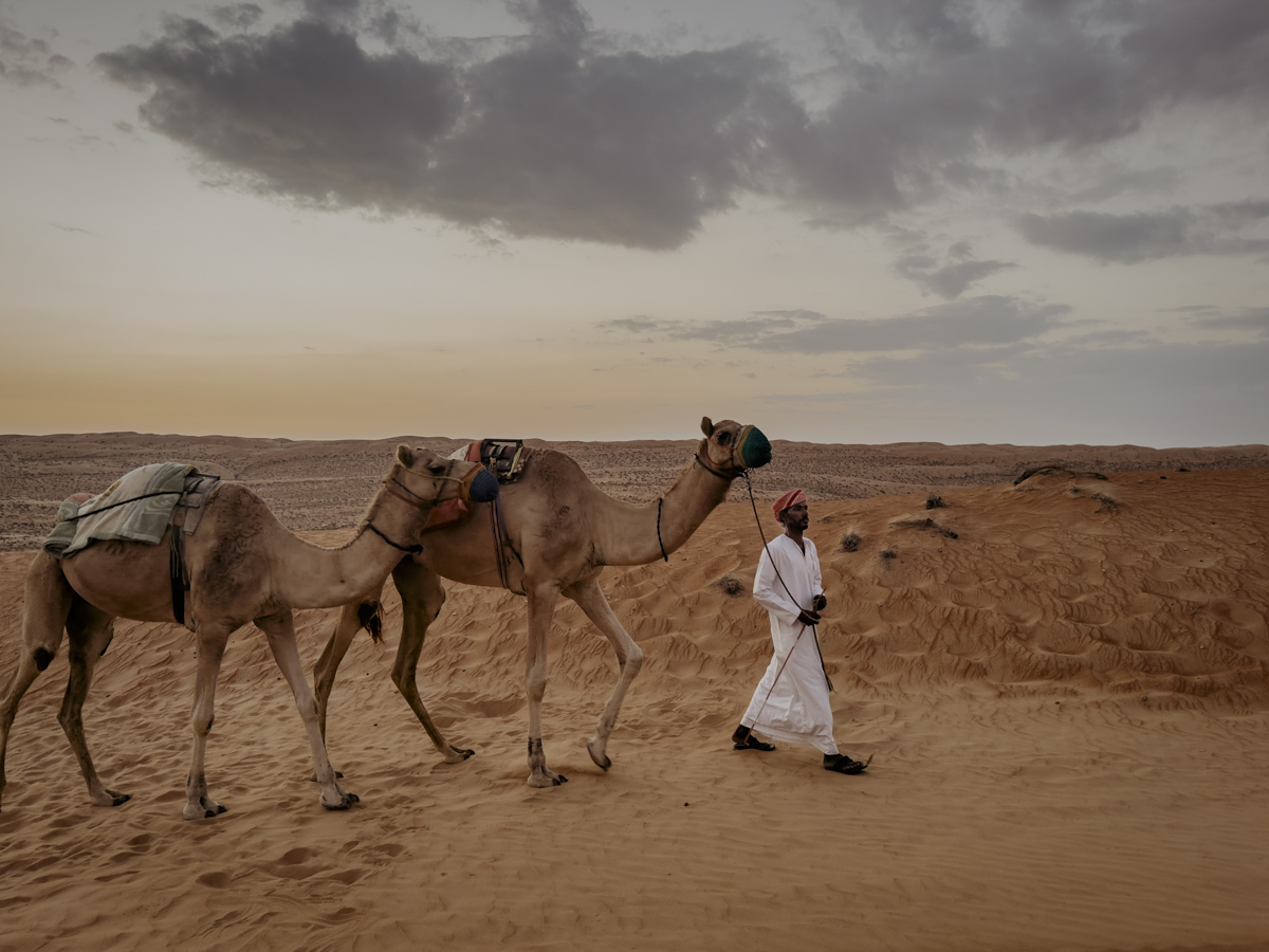 COCOtravel Oman CanvasClub Anreise Kamelritt 8