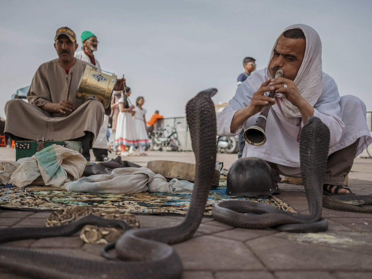 COCOtravel SalzburgAirport Marrakesch 4