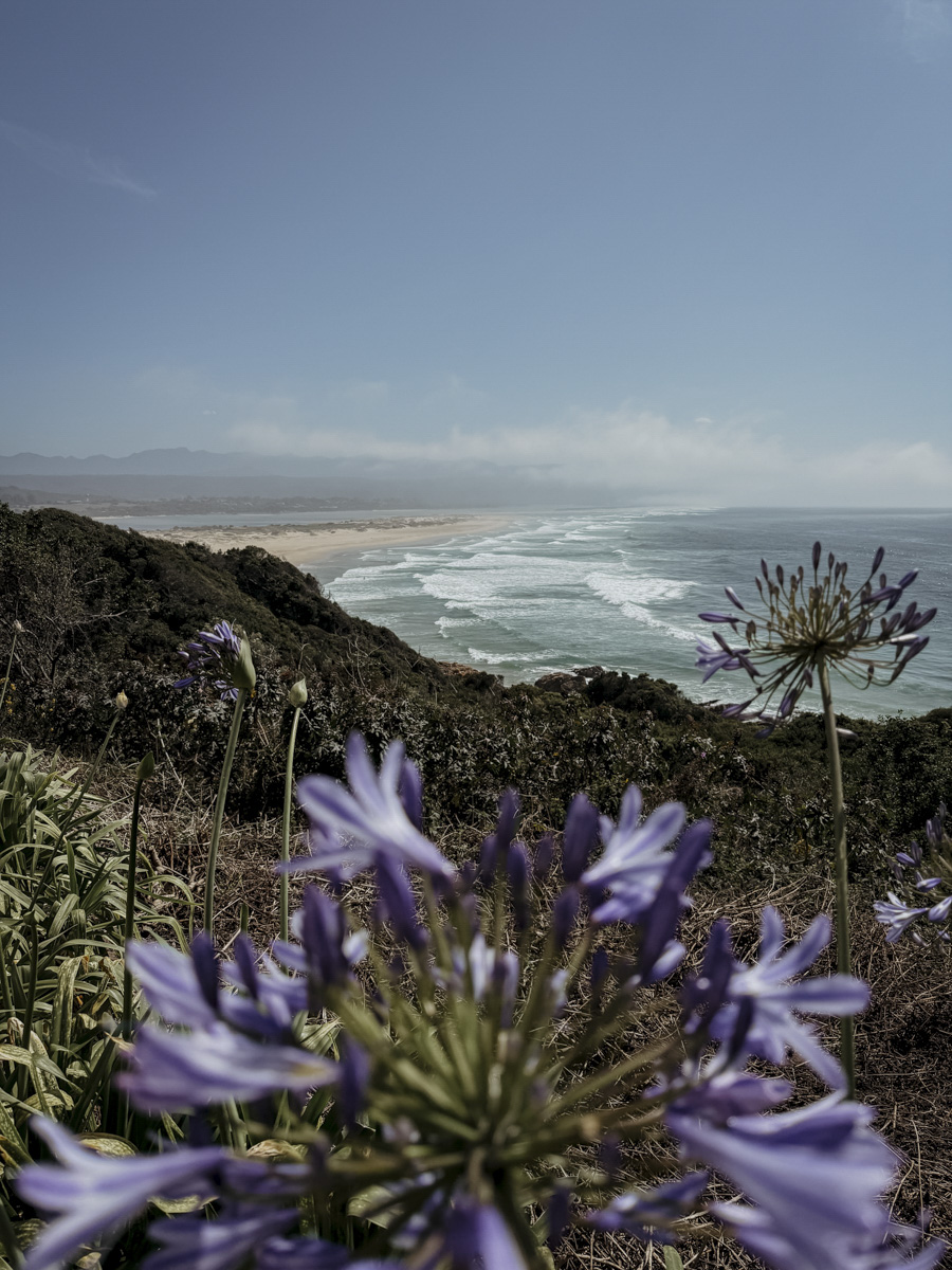 COCOtravel Suedafrika TsalaTreetopLodge Ausflug 1 COCOtravel Suedafrika TsalaTreetopLodge Ausflug 1