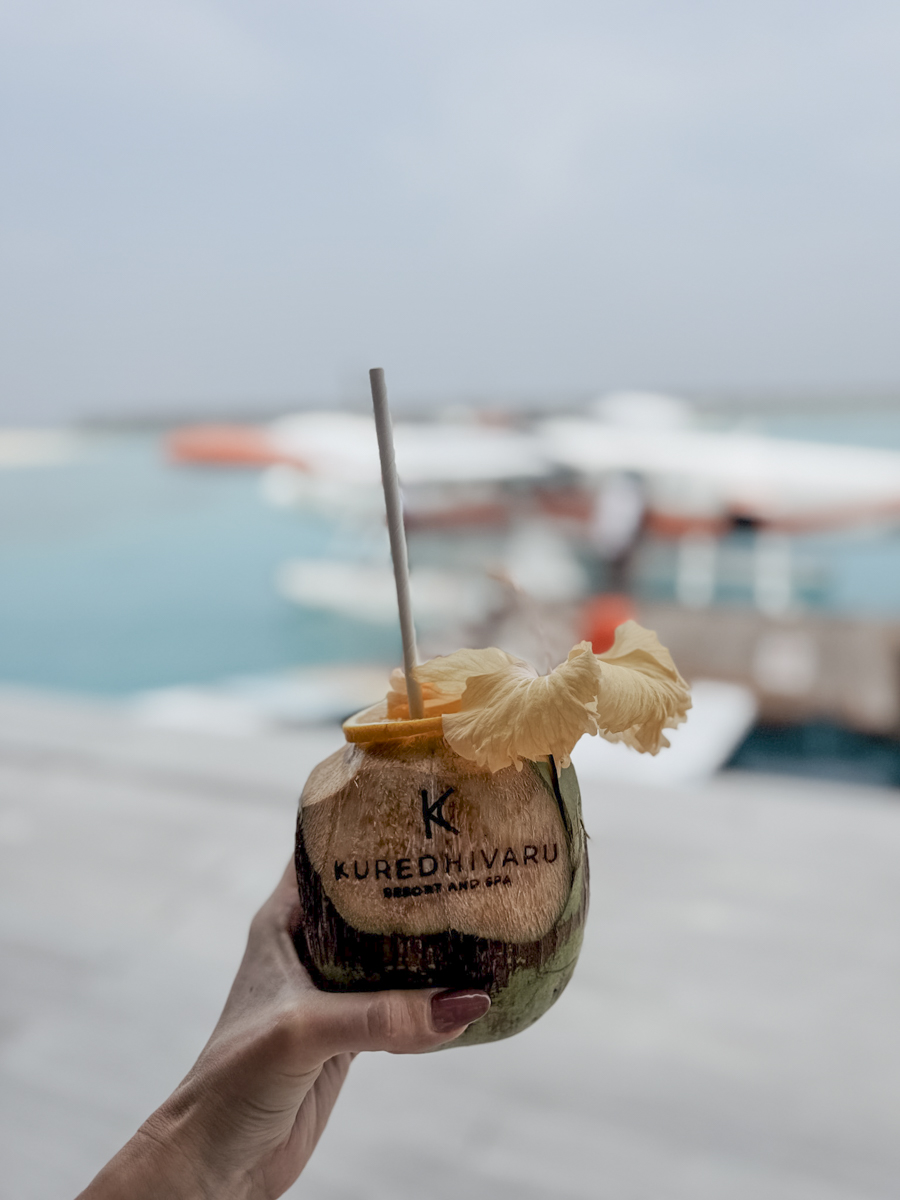 hoch allgemein Kokosnuss kuredhivaru malediven COCOtravel hoch allgemein Kokosnuss kuredhivaru malediven COCOtravel