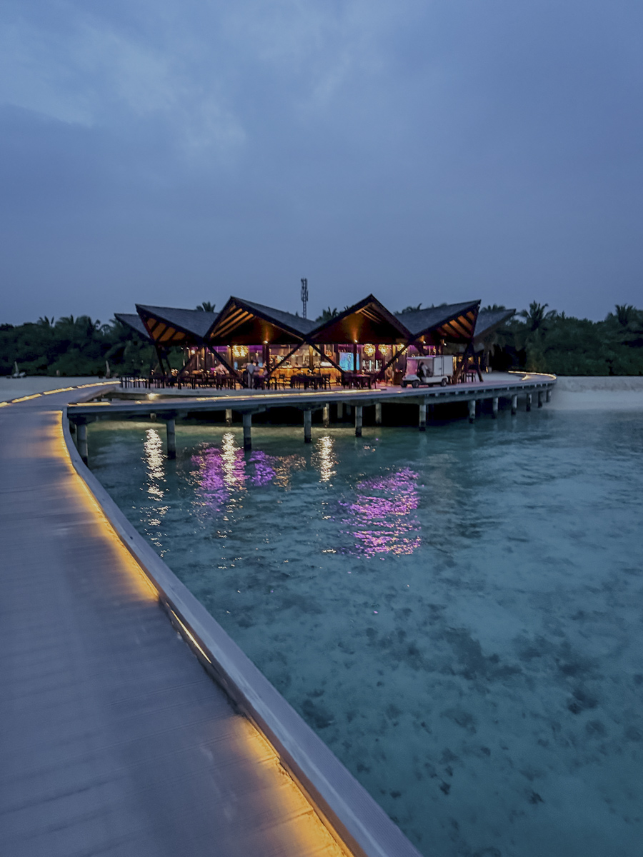 hoch kulinarik bodumas kuredhivaru malediven COCOtravel hoch kulinarik bodumas kuredhivaru malediven COCOtravel