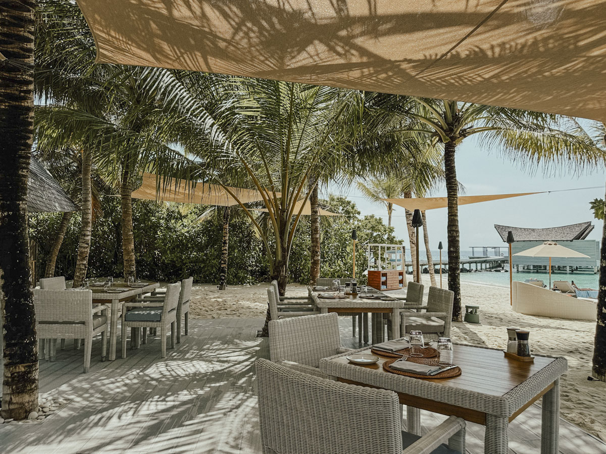 quer kulinarik latitude setting kuredhivaru malediven COCOtravel quer kulinarik latitude setting kuredhivaru malediven COCOtravel