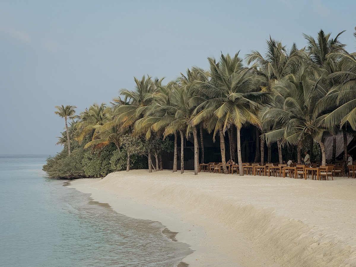 quer kulinarik onu aussen kuredhivaru malediven COCOtravel quer kulinarik onu aussen kuredhivaru malediven COCOtravel