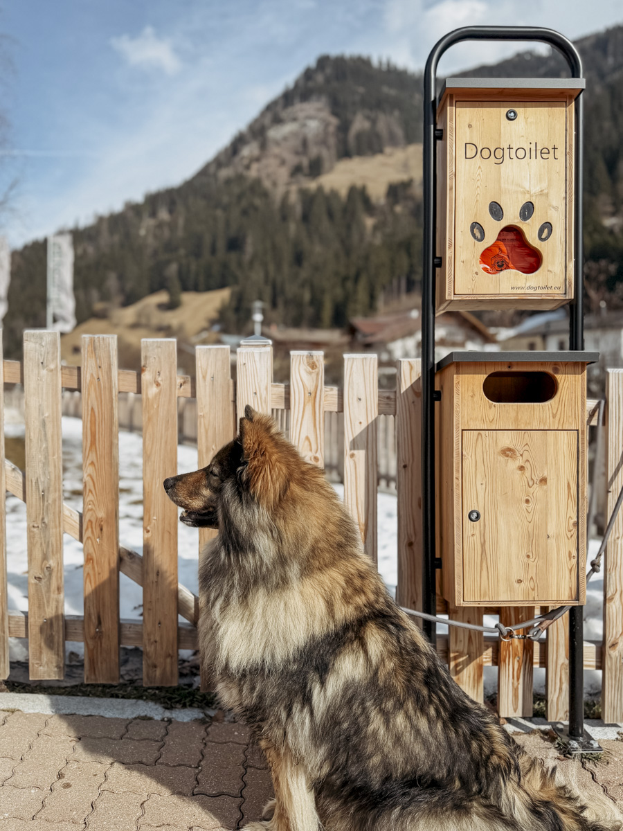 Cocotravel Oesterreich Grossarl Bergzeit 32