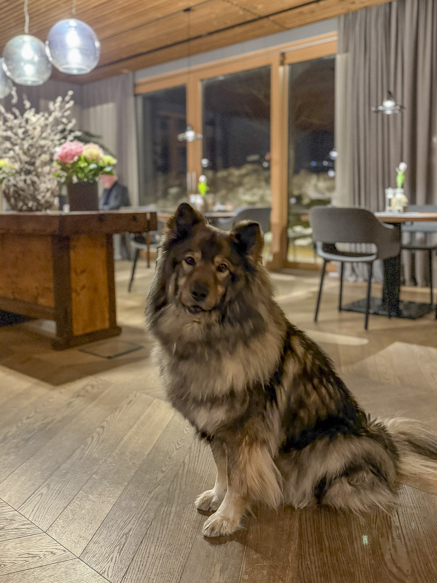 Cocotravel Oesterreich Grossarl Bergzeit Restaurant 16