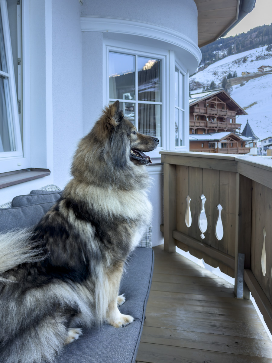 Cocotravel Oesterreich Grossarl Bergzeit Zimmer 13